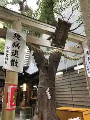 少彦名神社の鳥居