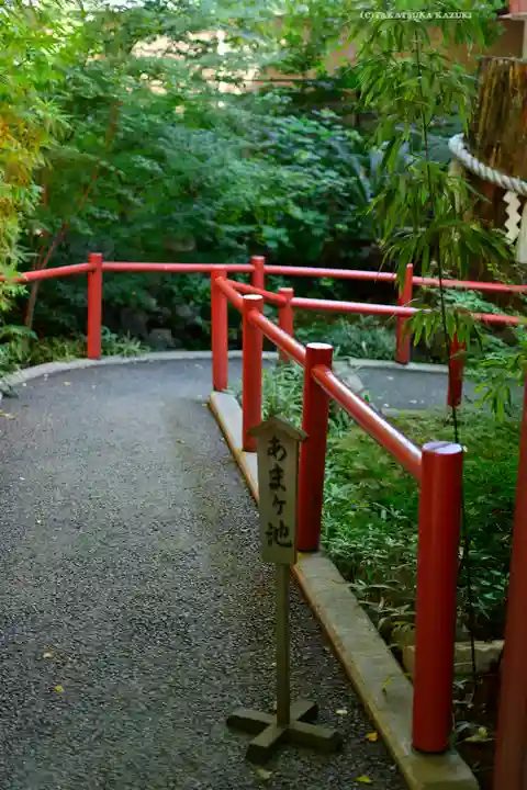 秩父神社の庭園