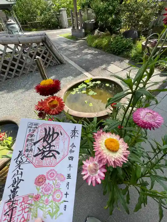 妙蓮寺の御朱印