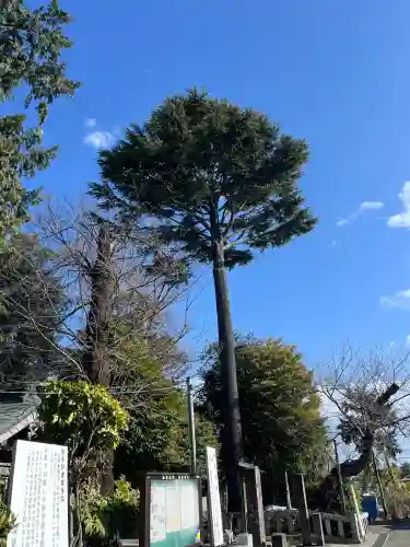深見神社の{uncategorized: "未分類", other: "その他", undefined: "問題あり", building: "その他建物", grave: "お墓", sacred_gate: "鳥居", guardian: "狛犬", statue: "像", buddha: "仏像", history: "歴史", nature: "自然", garden: "庭園", animal: "動物", pagoda: "塔", temizu: "手水舎", mountain_gate: "山門・神門", sanctuary: "本殿・本堂", subordinate: "末社・摂社", art: "芸術", scenery: "景色", jizo: "地蔵", ema: "絵馬", goshuin: "御朱印", omikuji: "おみくじ", items: "授与品その他", amulet: "お守り", goshuincho: "御朱印帳", eats: "食事", festival: "お祭り", votive_dance: "神楽", shichigosan: "七五三参", wedding: "結婚式", experience: "体験その他", initially: "初詣", around: "周辺", anti_infection: "感染症対策"}