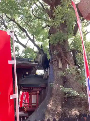 楠珺社（住吉大社末社）の自然