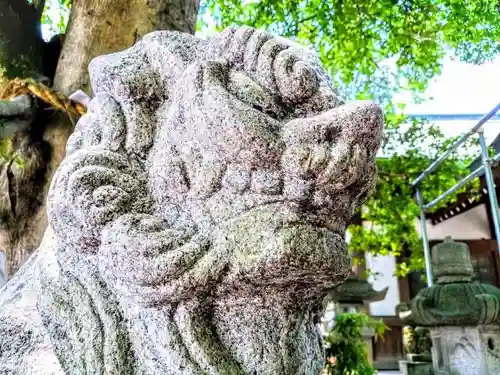 萱津神社の狛犬