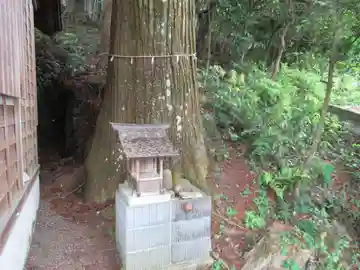 熊野神社(東京都)