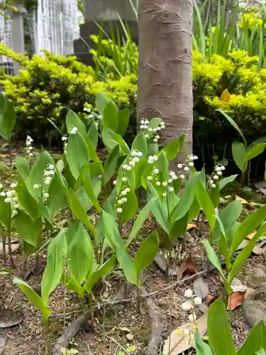 開成山大神宮(福島県)