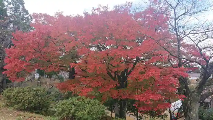 鶴ケ城稲荷神社(福島県)