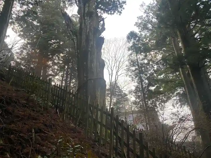 玉置神社の{uncategorized: "未分類", other: "その他", undefined: "問題あり", building: "その他建物", grave: "お墓", sacred_gate: "鳥居", guardian: "狛犬", statue: "像", buddha: "仏像", history: "歴史", nature: "自然", garden: "庭園", animal: "動物", pagoda: "塔", temizu: "手水舎", mountain_gate: "山門・神門", sanctuary: "本殿・本堂", subordinate: "末社・摂社", art: "芸術", scenery: "景色", jizo: "地蔵", ema: "絵馬", goshuin: "御朱印", omikuji: "おみくじ", items: "授与品その他", amulet: "お守り", goshuincho: "御朱印帳", eats: "食事", festival: "お祭り", votive_dance: "神楽", shichigosan: "七五三参", wedding: "結婚式", experience: "体験その他", initially: "初詣", around: "周辺", anti_infection: "感染症対策"}