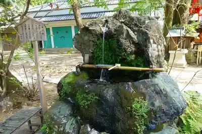 藤森神社の手水舎