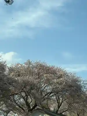 東蕗田天満社(茨城県)