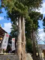 高司神社〜むすびの神の鎮まる社〜の自然