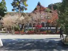 禅林寺（永観堂）の建物その他