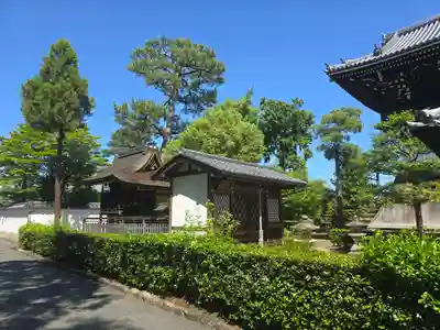 相国寺（相国承天禅寺）(京都府)