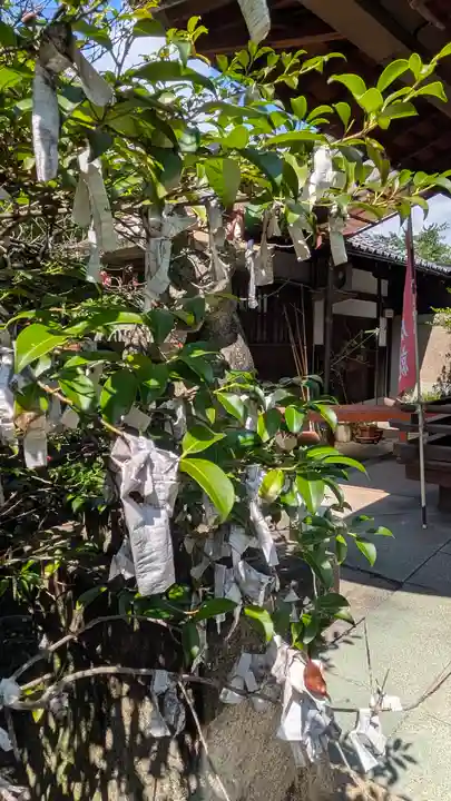 御辰稲荷神社(京都府)