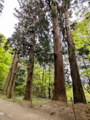 中尊寺(岩手県)