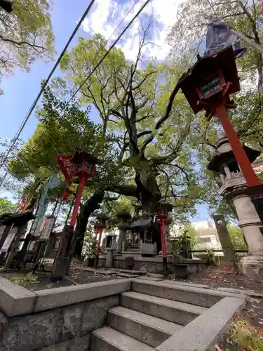 若一神社の末社