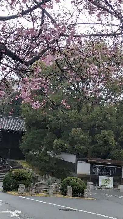 知恩院(京都府)