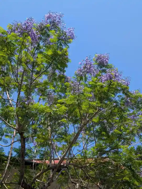 正覚院(神奈川県)
