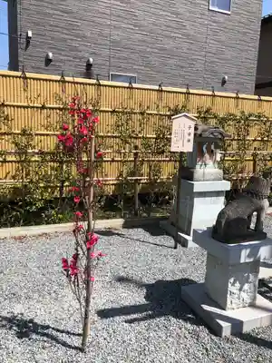 總社 和田八幡宮(福井県)