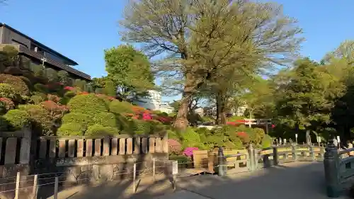 根津神社の{uncategorized: "未分類", other: "その他", undefined: "問題あり", building: "その他建物", grave: "お墓", sacred_gate: "鳥居", guardian: "狛犬", statue: "像", buddha: "仏像", history: "歴史", nature: "自然", garden: "庭園", animal: "動物", pagoda: "塔", temizu: "手水舎", mountain_gate: "山門・神門", sanctuary: "本殿・本堂", subordinate: "末社・摂社", art: "芸術", scenery: "景色", jizo: "地蔵", ema: "絵馬", goshuin: "御朱印", omikuji: "おみくじ", items: "授与品その他", amulet: "お守り", goshuincho: "御朱印帳", eats: "食事", festival: "お祭り", votive_dance: "神楽", shichigosan: "七五三参", wedding: "結婚式", experience: "体験その他", initially: "初詣", around: "周辺", anti_infection: "感染症対策"}