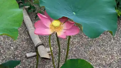 後白河院御聖蹟　法住寺(京都府)