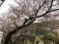 天別豊姫神社の自然