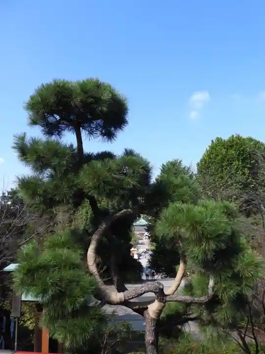 清水観音堂(東京都)