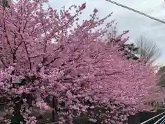 佐野原神社の自然