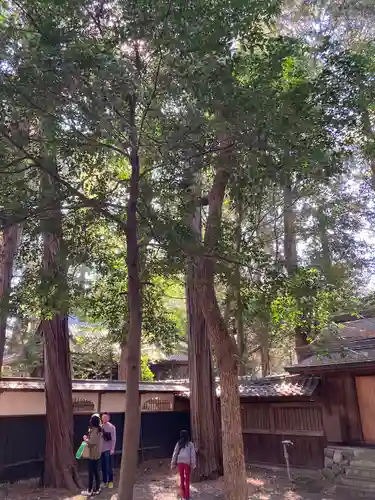 豊川閣　妙厳寺(愛知県)