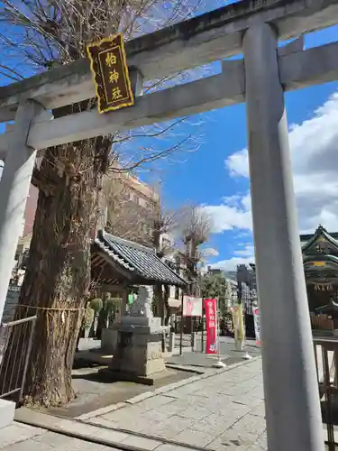 柏神社(千葉県)