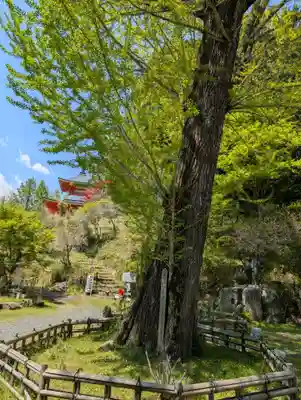 大聖寺(岡山県)