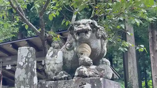 浪高山　東善院　光清寺の狛犬