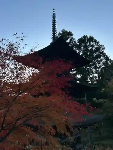 国宝 大法寺(長野県)