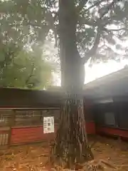 前原御嶽神社(千葉県)