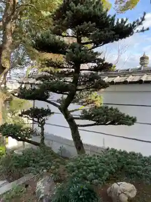 招善寺(京都府)