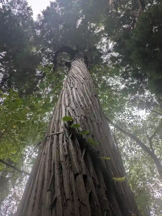 八幡神社(千葉県)