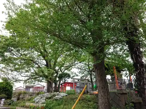 川除稲荷社(神奈川県)