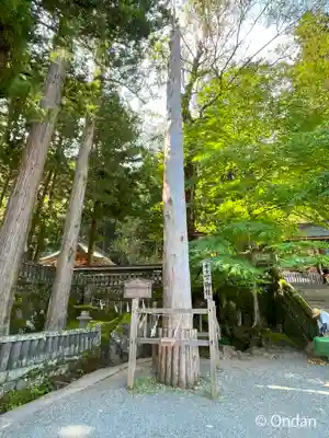 諏訪大社(長野県)