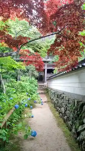普門寺(岡山県)