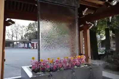 宮地嶽神社(福岡県)