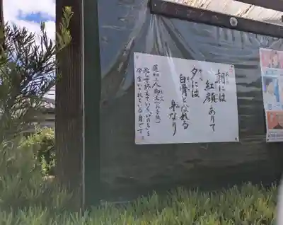金乗寺(滋賀県)