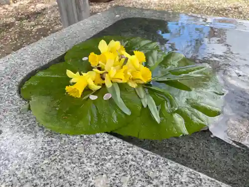 一本栗地主神社の手水