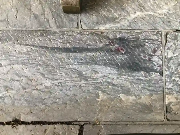 三峯神社(埼玉県)