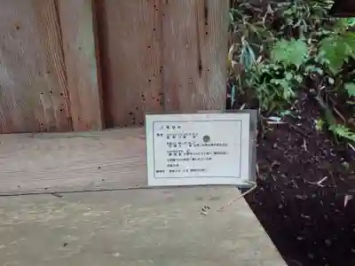 仁科神明宮(長野県)