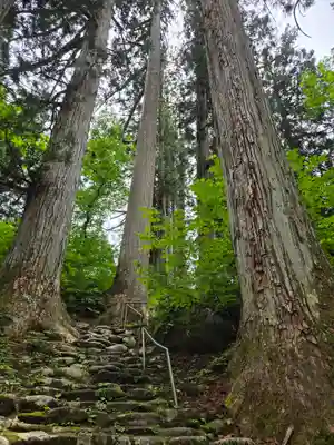 白山中居神社(岐阜県)