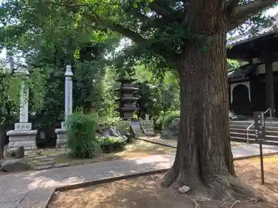 薬王寺の自然