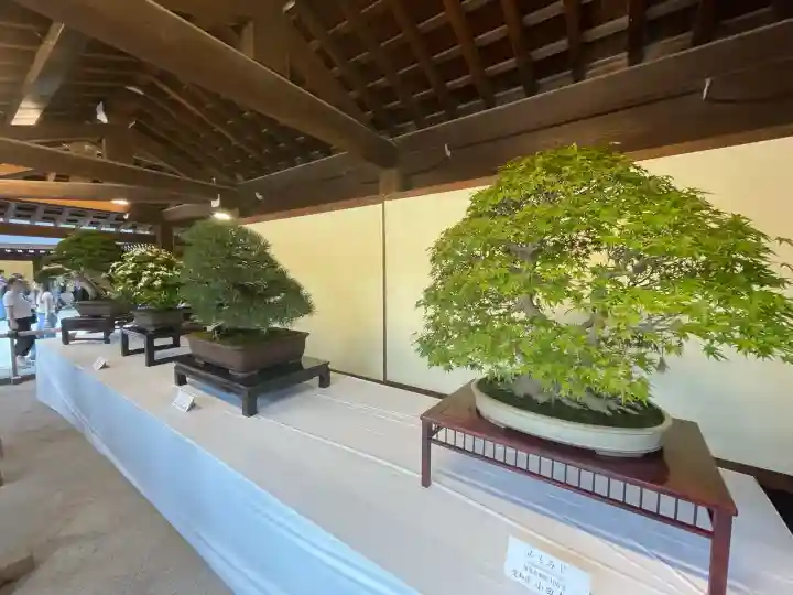 明治神宮(東京都)