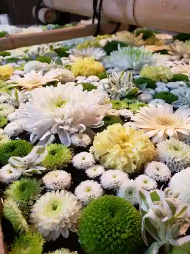 高円寺氷川神社の手水