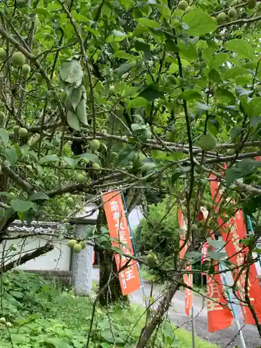 華藏寺(梅澤不動尊) のその他建物