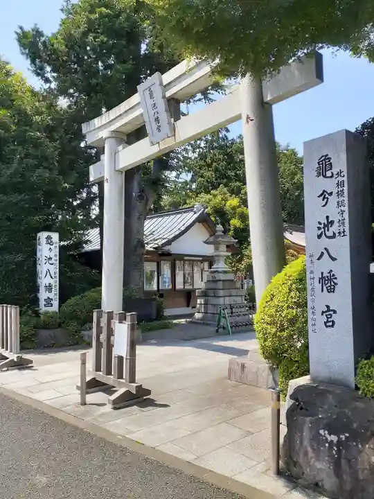 亀ケ池八幡宮の鳥居