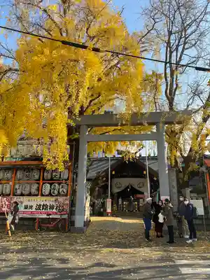 波除神社（波除稲荷神社）の鳥居