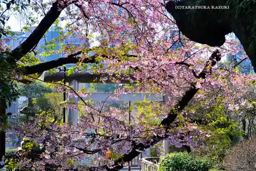 五條天神社の自然
